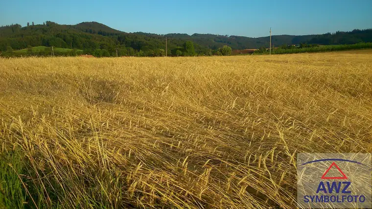 Großes ebenes Grundstück!