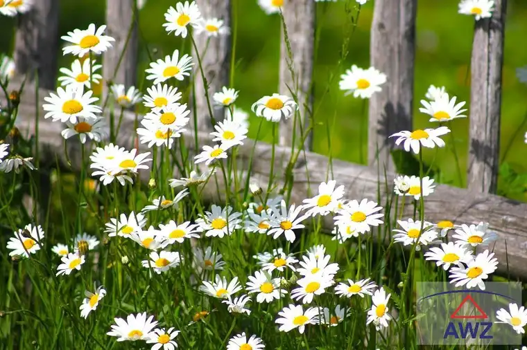 Leistbarer Baugrund zu verkaufen!