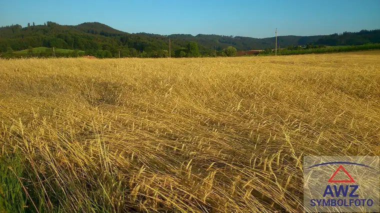 Schöner Acker mit ca. 7 Hektar Größe!