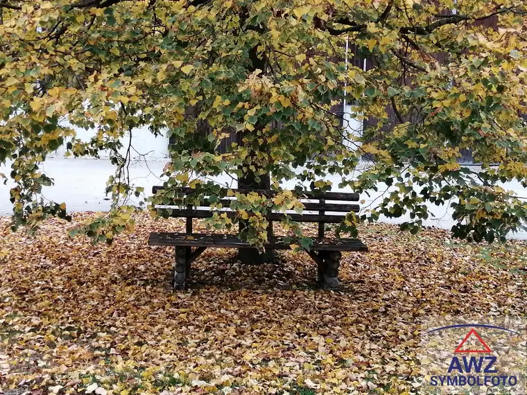Grünland und Marillengarten im südlichen Waldviertel!