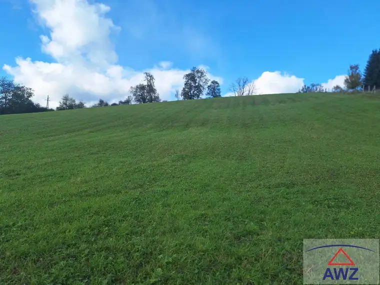 Wiesengrund: Möglichkeit für landwirtschaftlich nötige Gebäude (+ angrenzender Baugrund optional)!