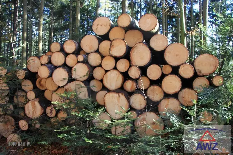 Leistbarer Mischwald zu verkaufen!