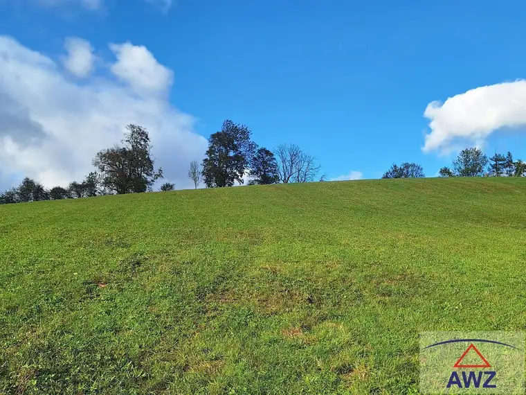 Sonniges Baugrundstück im steirischen Almenland nahe dem Golfplatz!