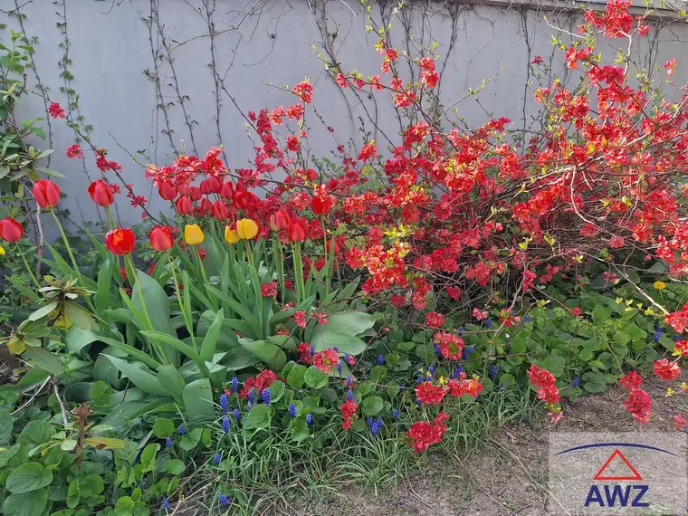 Großzügiges Haus mit Garten und ca. 90 m² Traumterrasse!
