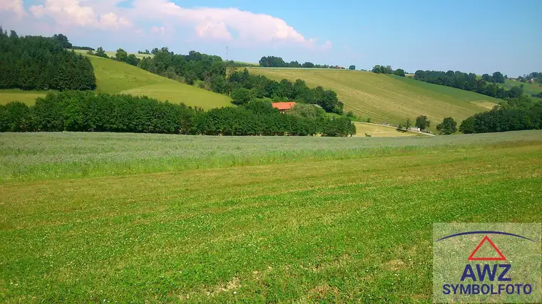 Wunderschöner Acker in Spitzenlage!