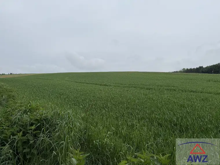Acker mit guter Bonität! 