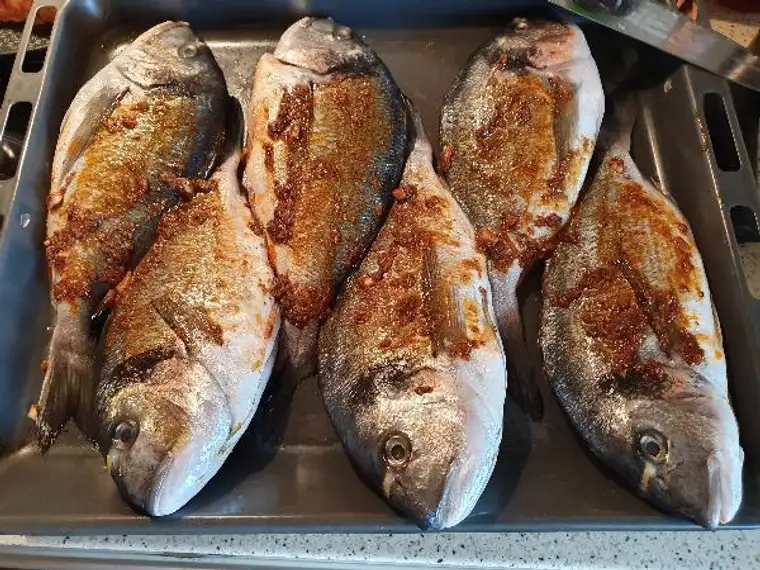 Tolle Fischzuchtanlage nähe Schärding zu verkaufen!