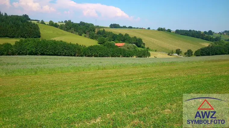 Bio-Ackerflächen in der Nähe von Raabs/Thaya! 
