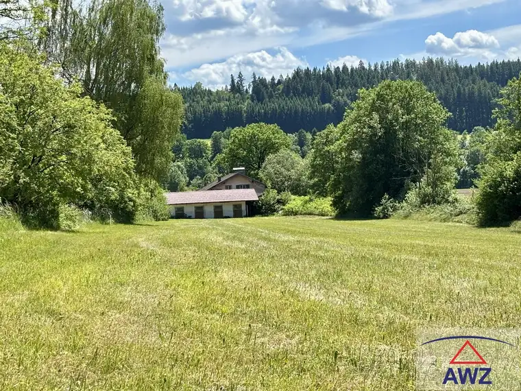 Seltene Gelegenheit: Sanierungsbedürftiges Forsthaus mit Pferdestall und großem Grund in Waldrandlage!