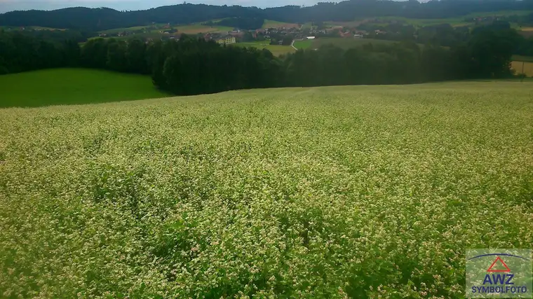Nutzgrund mit Potenzial! ca. 9000 m²