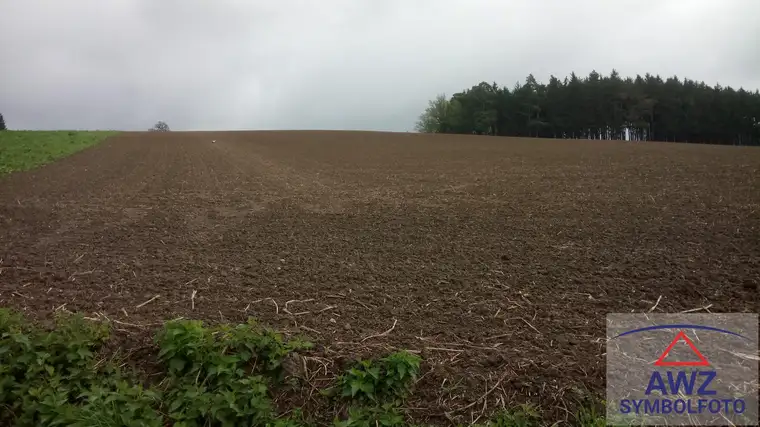 Acker zu verkaufen!