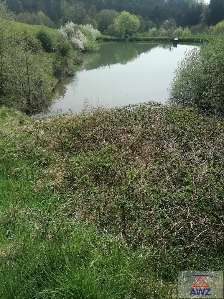 Sehr gepflegter Fischteich in Gföhl!