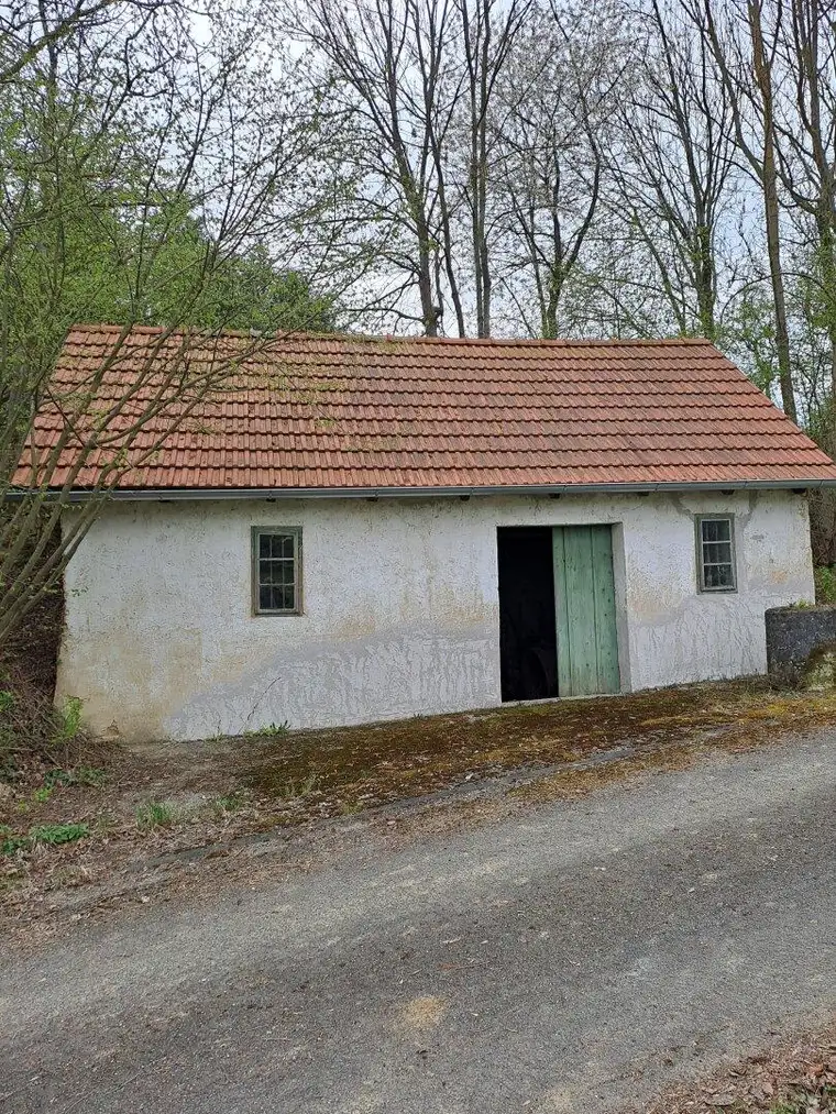 Weinkeller mit Weinpresse aus 1803