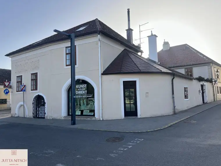 Geschichtsträchtiges Geschäftslokal - Mödling Zentrum