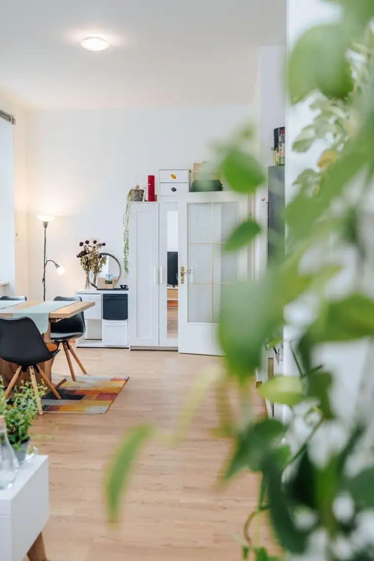 Lucija Klepic, Projekt Wohnen Gruppe GmbH