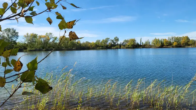 Bauträger aufgepasst: Bauland mit Teich 193.000 m2 in Hédervár, UNGARN