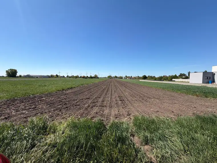 Großzügiges sonniges Grundstück in Nickelsdorf