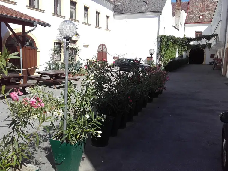 Räumlichkeiten im Zentrum von Hainburg zu vermieten – vielseitig nutzbar