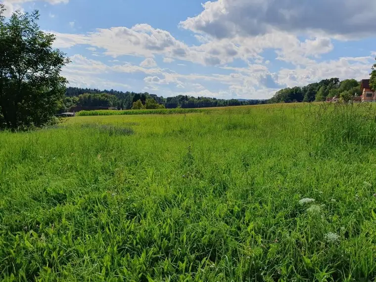 Baugrundstück mit 3.000 m² in sonniger Lage!