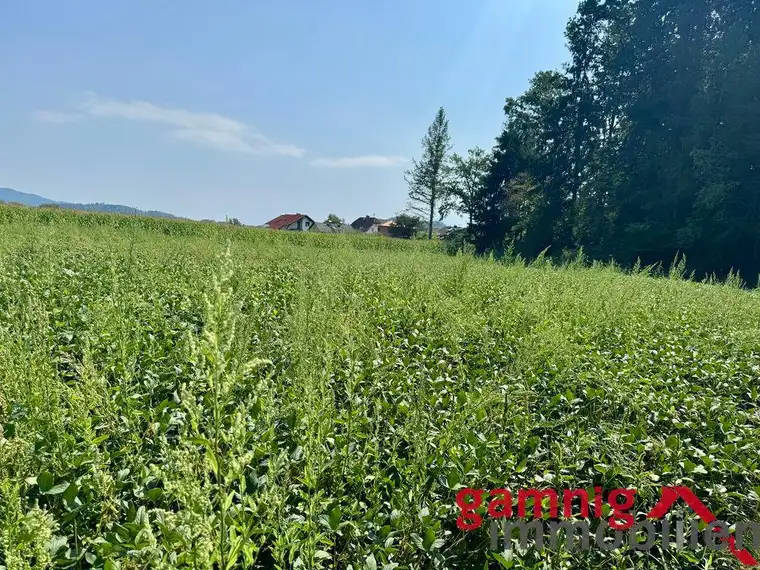 Baugrund mit Potenzial in Klagenfurt-Wölfnitz