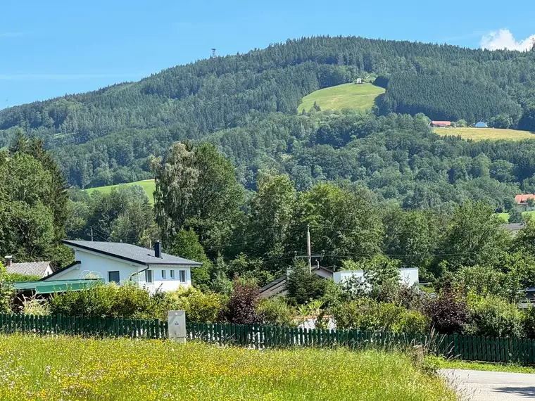 Traumhaftes Baugrundstück ohne Bauzwang in St. Ulrich/Steyr zu verkaufen