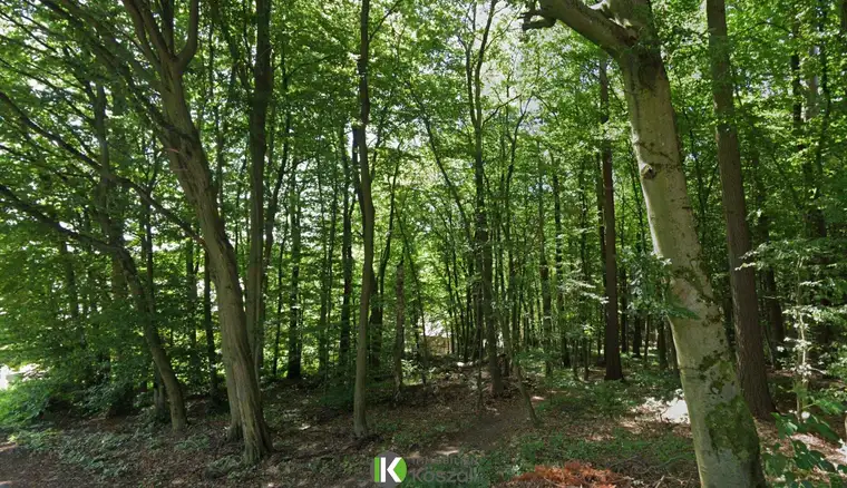 Ruhe - Wald - Grün! Grundstück nahe Gablitz