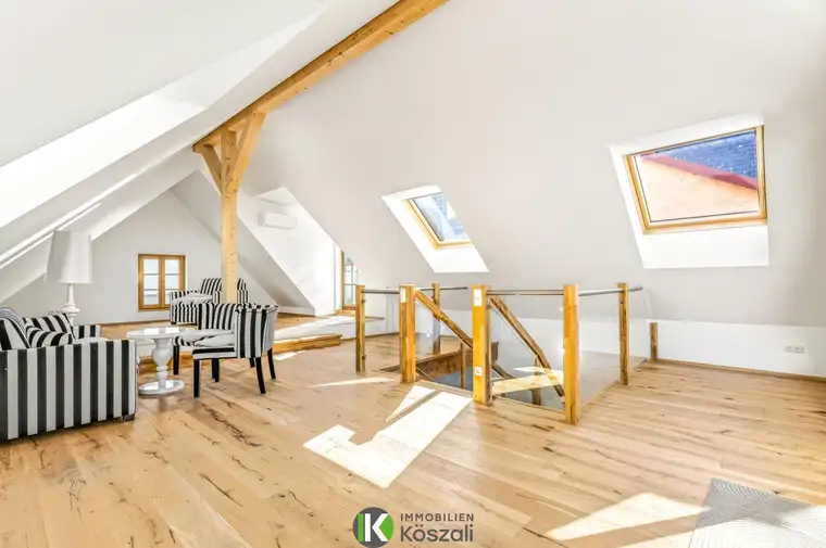 Absolutes Einzelstück - "Villa zur Burg" - vom Mittelalter bis zur Neuzeit