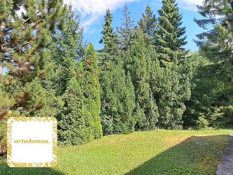 NEUER PREIS: GREEN GREEN GREEN! BAUGRUNDSTÜCK im Herzen von BRUNN !