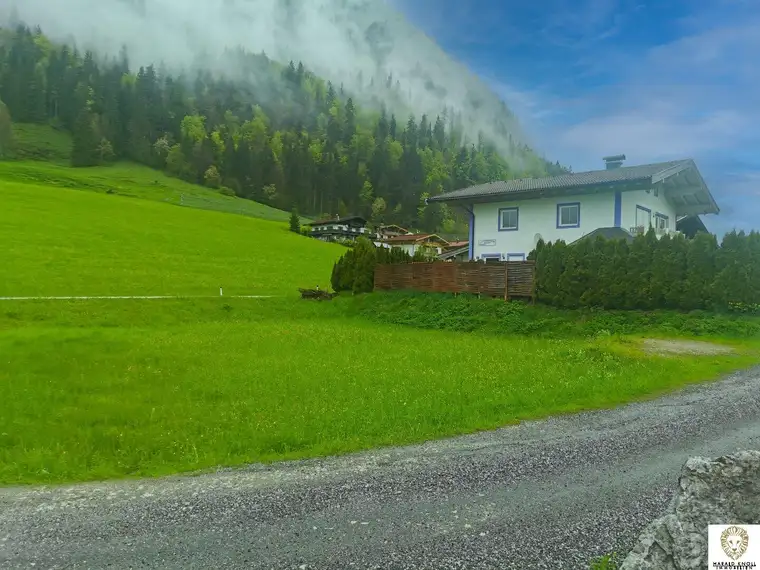 Wunderschönes Baugrundstück in Sonnenlage von St. Ulrich am Pillersee