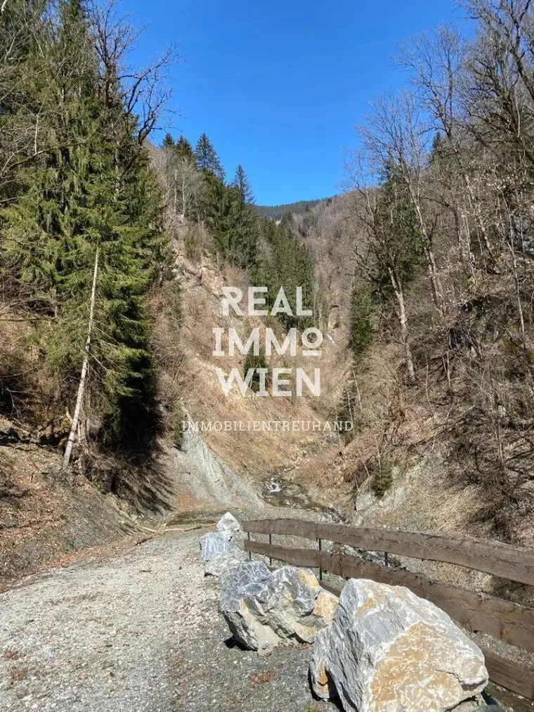 Waldparadies in Taxenbach – 13.141 m² Natur pur