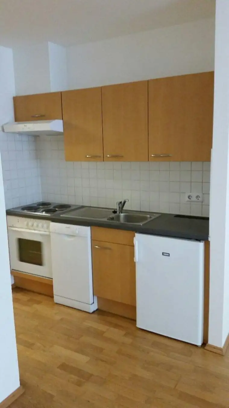 1090, Porzellangasse 25/U4 Rossauer Lände, neu sanierte 1 Zimmerwohnung ab sofort zu vermieten