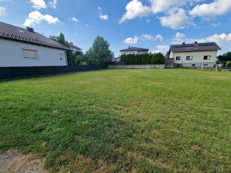 Grünes Paradies für Gartenfreunde – 660 m² Wiese zu vermieten!