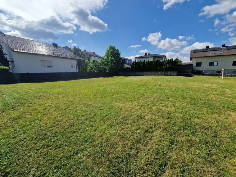 Grünes Paradies für Gartenfreunde – 660 m² Wiese zu vermieten!