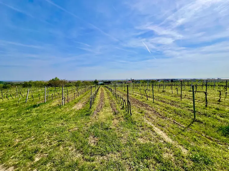 Traumhaftes Grundstück in Weinregion für touristisches Projekt