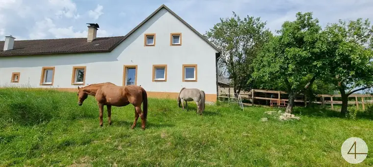 PROVISIONSFREI- Generalsanierter 4-Kanter für Pferdehaltung, 3 Hektar