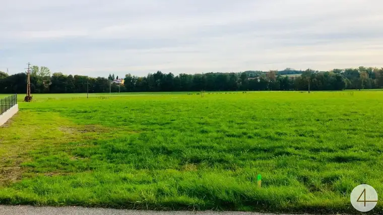 leistbare Ziegel-Massiv-Doppelhäuser in Andorf