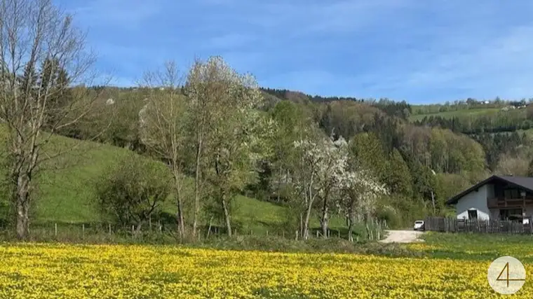 Apfelblüte im Mostviertel - Baugründe in wunderschöner, sonniger Lage!