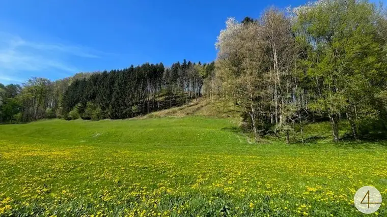 Baugründe in wunderschöner, sonniger Lage! Ein Höchstmaß an Lebensqualität!