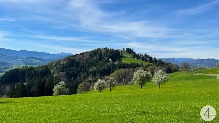 Apfelbaumblüte vor Ihrem Haus im schönen Mostviertel - Baugründe in wunderschöner, sonniger Lage!