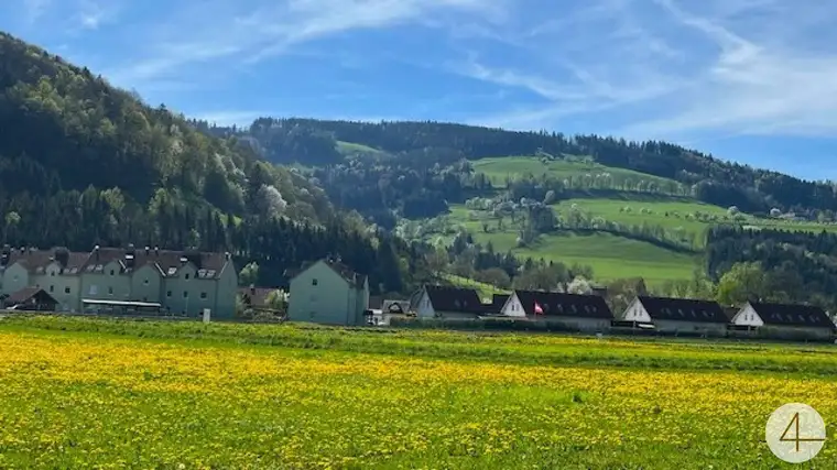 Im Mostviertel blühen wieder die Bäume ... - Baugründe in wunderschöner, sonniger Lage!