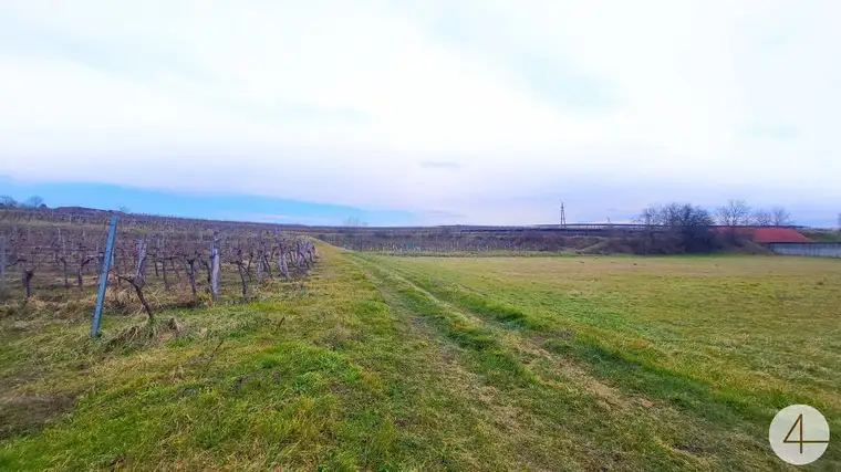 Projektiertes Baugrundstück für Doppelhäuser 14 Wohneinheiten umgeben von Weinbergen
