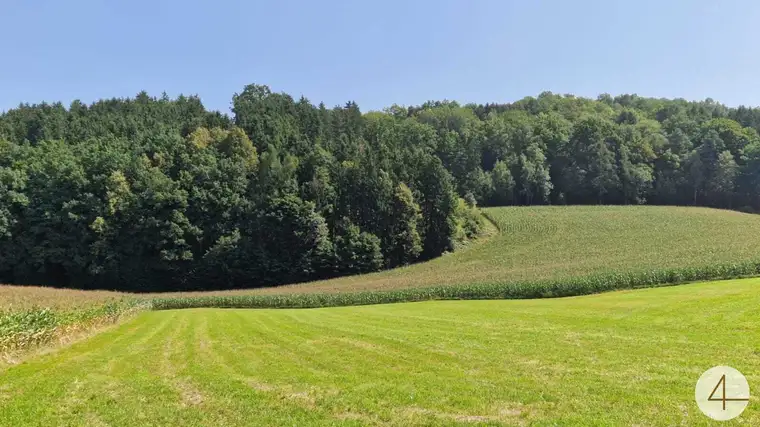 Ackerfläche von 8,8ha zu verkaufen