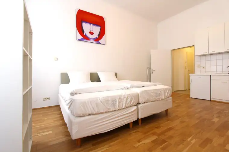 Wunderschöne 1-Zimmer-Wohnung in Wiens Bestlage! Kurzzeitvermietung!