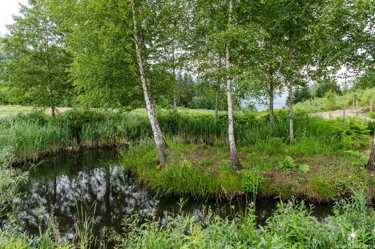 An neuer Siedlung angrenzend. Alleinlage mit Seeblick und Wald - Seeboden/Lurnbichl.