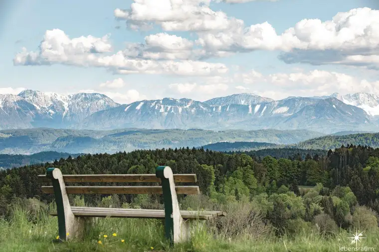 Wald- und Wiesenflächen in Moosburg – attraktive Kapitalanlage in der Natur.