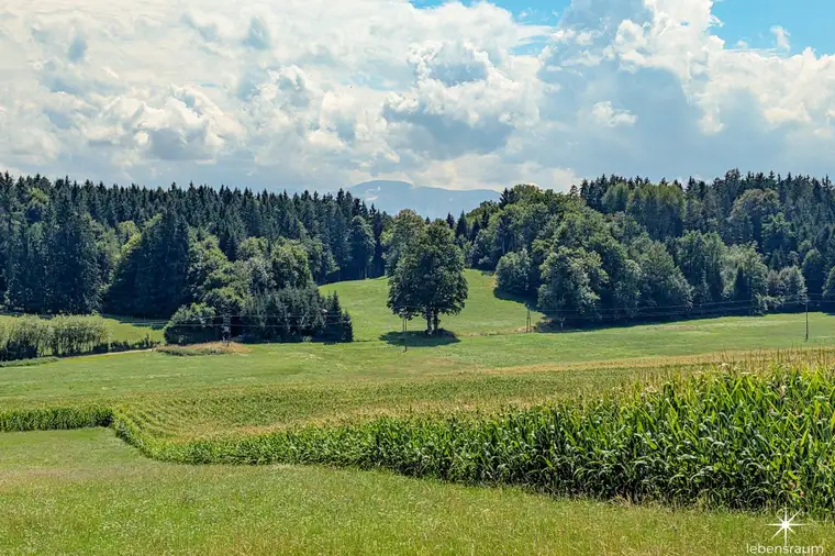 Wiesenfläche in Moosburg – attraktive Kapitalanlage in der Natur.