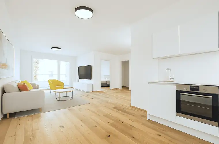 Martin Lenhardt, Dr. Mannlicher Immobilien GmbH