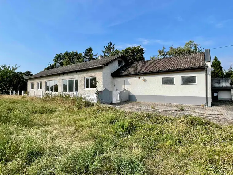 Dr. Markus Mannlicher, Dr. Mannlicher Immobilien GmbH