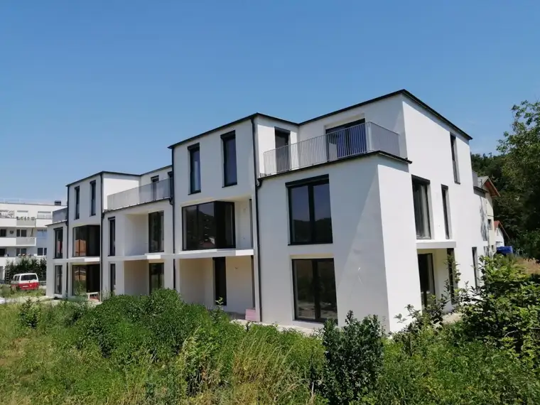Bajro Gudzevic, Dr. Mannlicher Immobilien GmbH