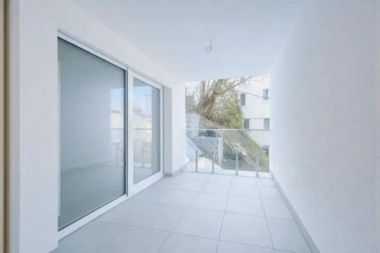 Martin Lenhardt, Dr. Mannlicher Immobilien GmbH